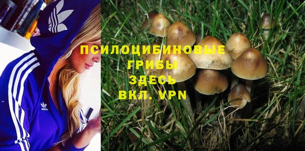 а пвп мука Няндома