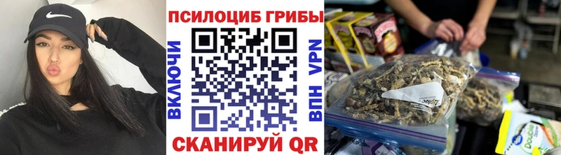 shop телеграм Котельниково Псилоцибиновые грибы Psilocybine cubensis что такое наркотик omg
